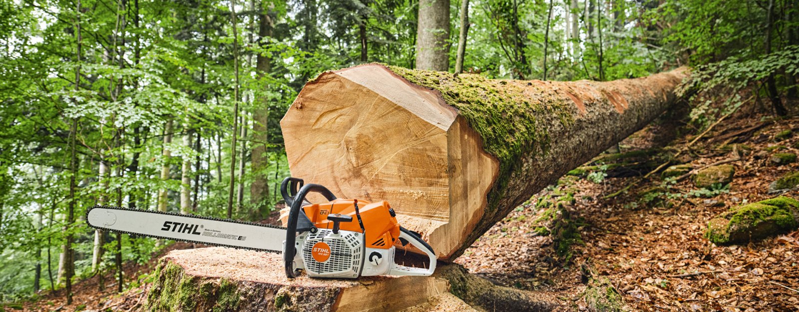 Most Powerful STIHL Chainsaw Ever Made 